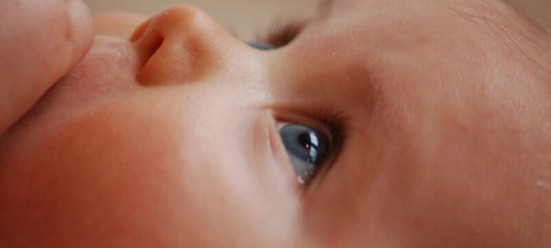 pexels-rasmus-svinding-35446