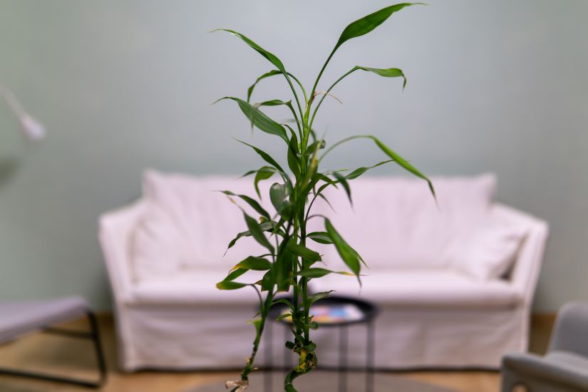 Μονάδα Ολοκληρωμένης Ψυχοκοινωνικής Υποστήριξης για νεαρούς ενήλικες που νόσησαν από καρκίνο