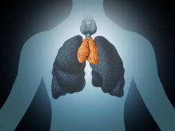 istockphoto-1136507498-612×612