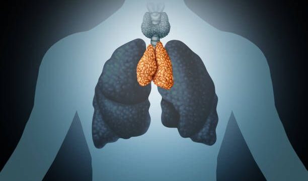 istockphoto-1136507498-612×612