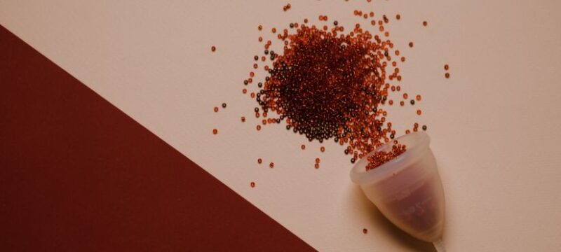 pexels-polina-kovaleva-5885512