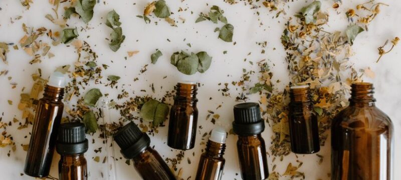 pexels-tara-winstead-6694187