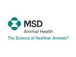 MSD ANIMAL HEALTH_LOGO