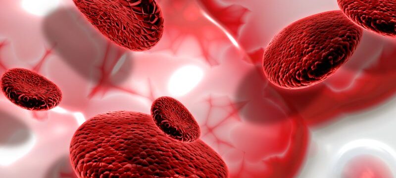 3D blood cells on abstract background