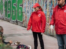 streetwork_190320_photo_1-800×400