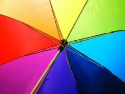 pexels-alexander-grey-1146851