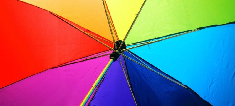 pexels-alexander-grey-1146851