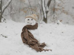 pexels-arina-krasnikova-6012802