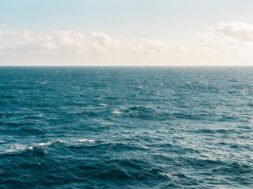 pexels-kellie-churchman-1001682