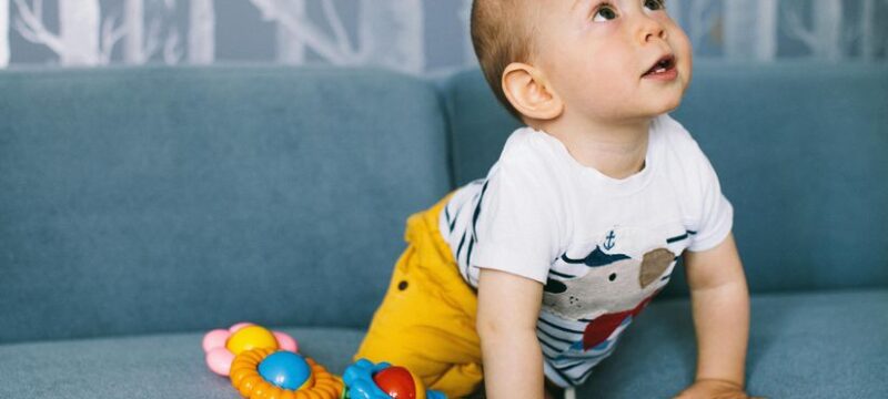 pexels-polesie-toys-4488186