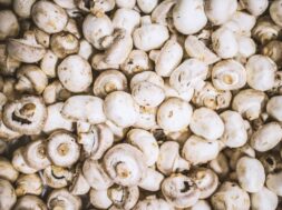 many-mushrooms_1088-594