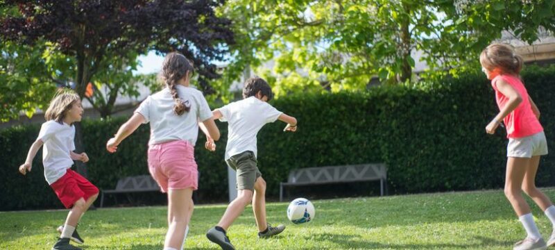 pexels-kampus-production-8813564