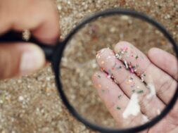 istockphoto-1393825220-612×612