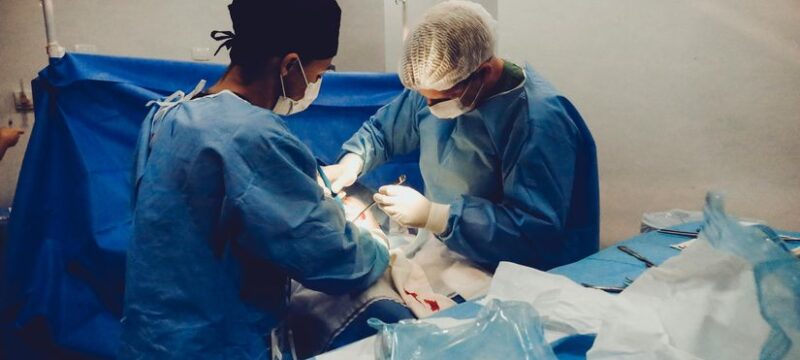 pexels-vidal-balielo-jr-3376799