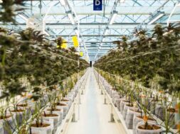 ΔΕΛΤΙΟ ΤΥΠΟΥ_ Tikun Olam Ελλάδος