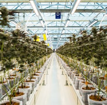 ΔΕΛΤΙΟ ΤΥΠΟΥ_ Tikun Olam Ελλάδος