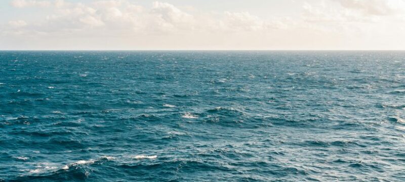 pexels-kellie-churchman-371878-1001682