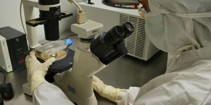 pexels-satheeshsankaran-12285817