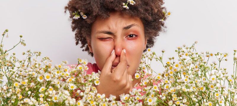 Headshot of curly haired young ethnic woman has problems with breathing holds nose suffers from allergy to camomile holds big bouquet of flowers has red itchy eyes. Allergic reaction on pollen
