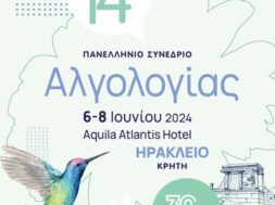 Poster (16)