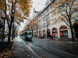 pexels-hebaysal-773471