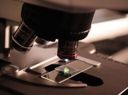 pexels-pixabay-256262