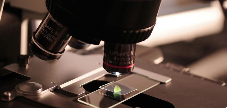 pexels-pixabay-256262