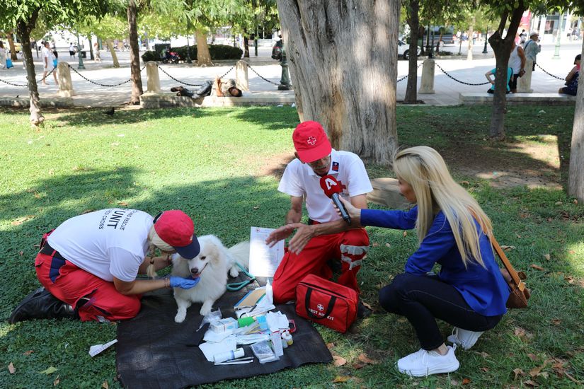 Μεγάλη δράση για τους τετράποδους φίλους μας στην Πλατεία Συντάγματος