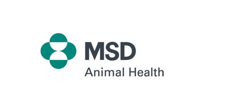 MSD ANIMAL HEALTH_LOGO (3)