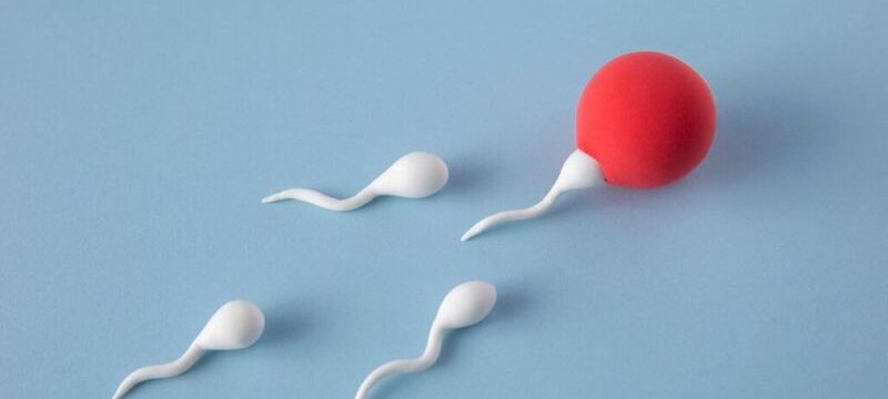 Screenshot 2024-11-04 at 15-47-28 Free Photo Still life fertility concept high angle