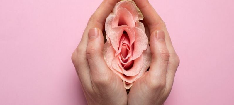Screenshot 2024-11-05 at 15-03-38 Free Photo Woman holding rose in hands for reproductive system visualization