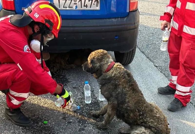 Ο Ελληνικός Ερυθρός Σταυρός το 2024 εντατικοποίησε και επέκτεινε το ανθρωπιστικό του έργο