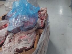 IMG-20241224-WA0043