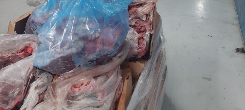 IMG-20241224-WA0043
