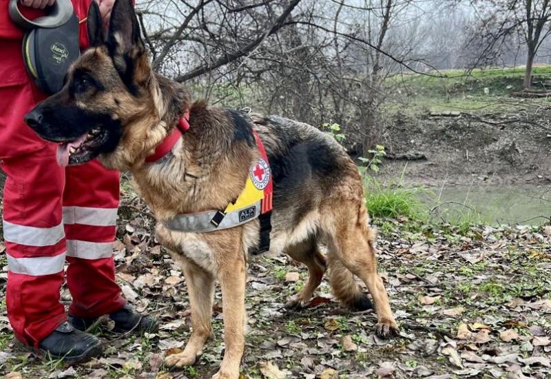 Ο Ελληνικός Ερυθρός Σταυρός συμμετέχει με διασωστικά σκυλιά και ναυαγοσωστικό ρομπότ με σόναρ στις έρευνες για τον εντοπισμό του 39χρονου στην Λάρισα
