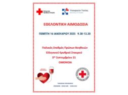 Το κείμενο της παραγράφου σας