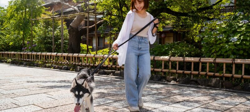 asia-woman-walking-her-husky-dog-outdoors_23-2150764843