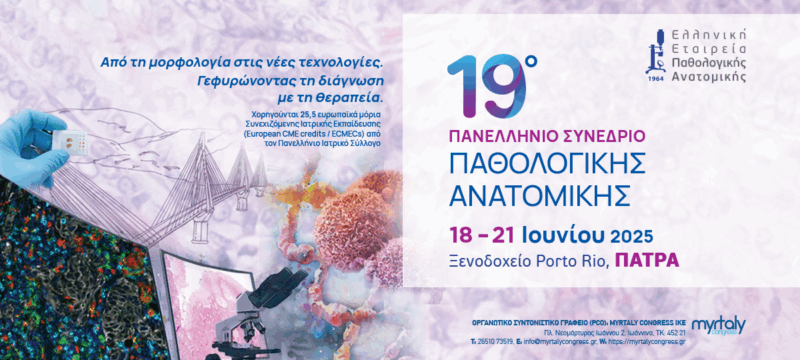 web banner