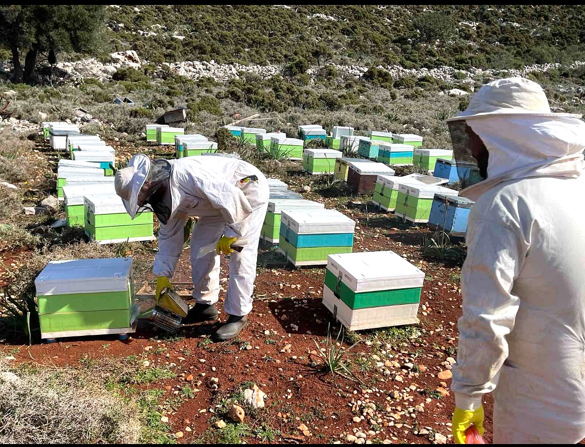Η InterMed τιμά τη μελισσοκομία στο Καστελλόριζο με Platinum βραβείο Olymp Awards