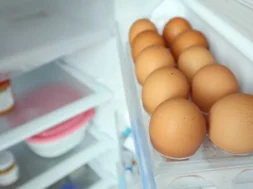 why_do_we_refridgerate_eggs