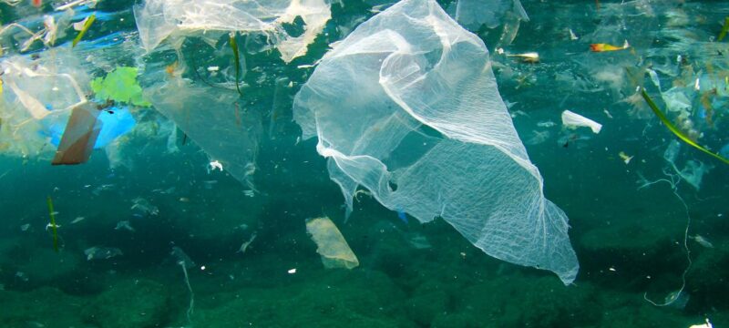 OCNs3_287424425_2400