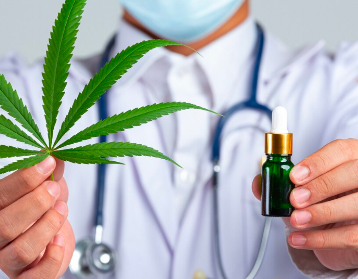 Φαρμακευτική κάνναβη: Νέες προοπτικές για ασθενείς με Σκλήρυνση κατά Πλάκας