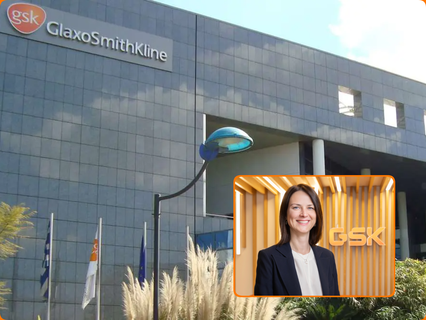 Αλλαγή σκυτάλης στη GSK Ελλάδος με νέα Πρόεδρο και CEO