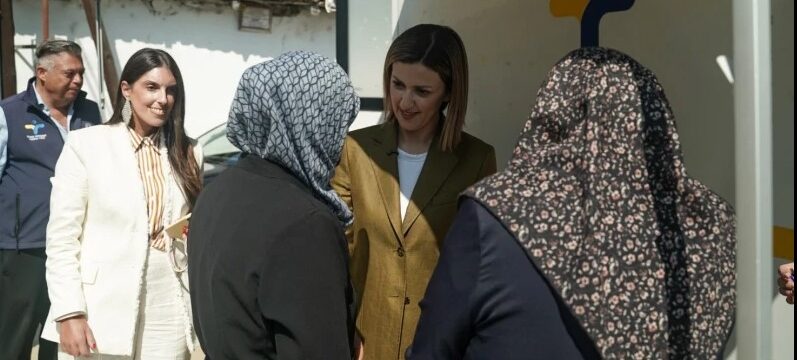 viruscomgr_agapodaki_xanthi_2