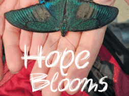 Στιγμιότυπο οθόνης 2025-09-16 232944