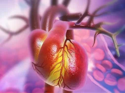 heart-red-blood-cells-arteries-veins-illustration-rendering