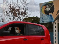 A-woman-drives-her-car-as-she-leaves-the-Brasilia-Zoo-that-closed-its-doors-as-a-precaution-due-to-suspected-cases-of-bird-flu