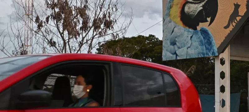 A-woman-drives-her-car-as-she-leaves-the-Brasilia-Zoo-that-closed-its-doors-as-a-precaution-due-to-suspected-cases-of-bird-flu