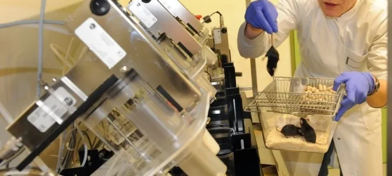 220826092047_obesity-paxisarkia-laboratory