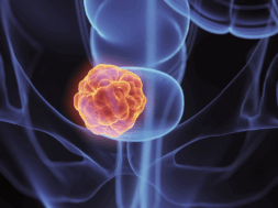 media_1c078b59ae942afe7ad279b036597d7c60112b6dd